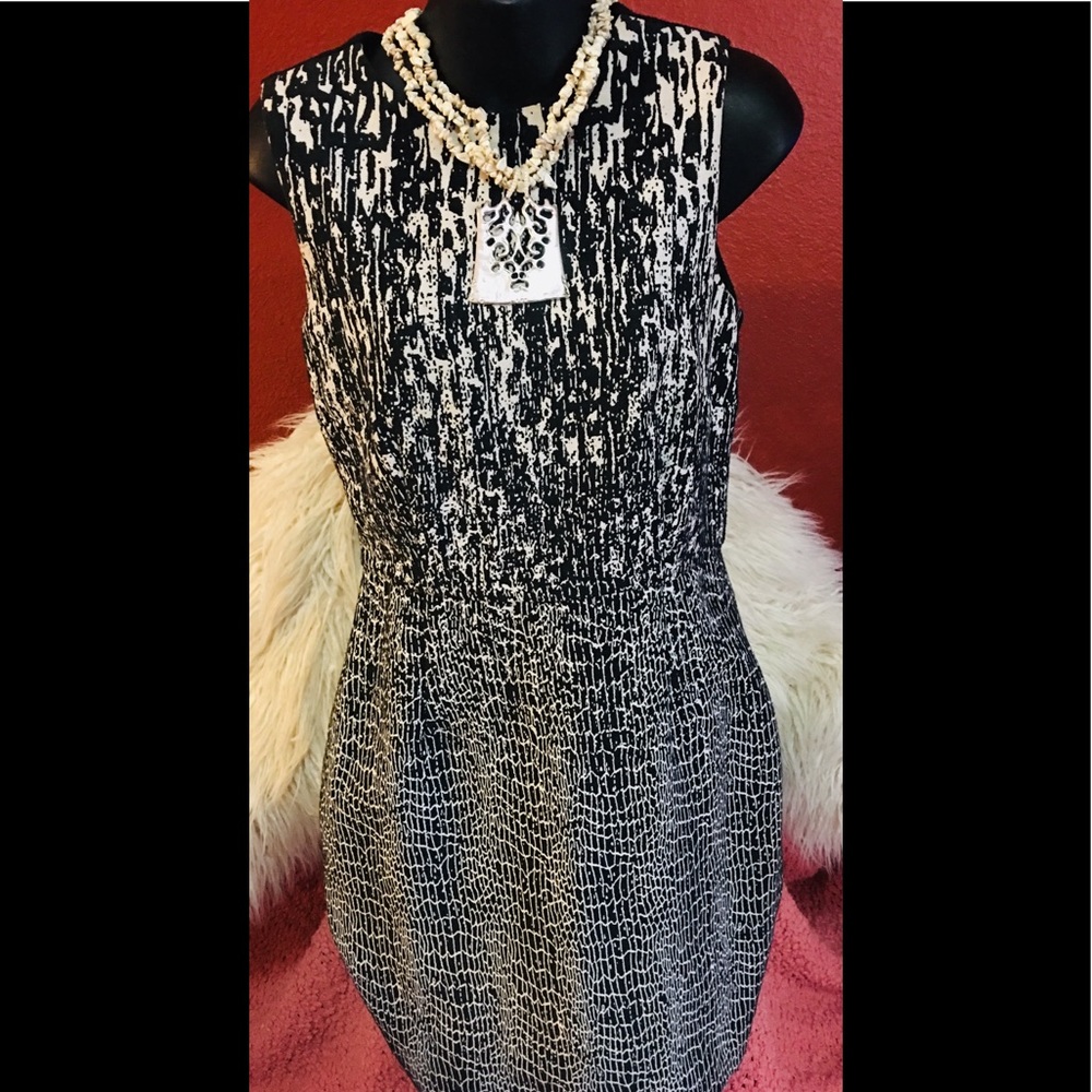 Just Taylor dress